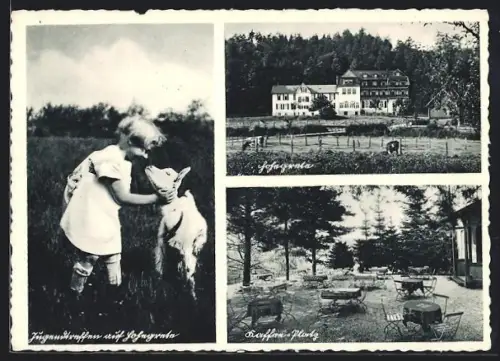 AK Hamm /Sieg, Bibelheim Hohegrete, Kaffe-Platz, Gesamtansicht, Kind mit Zicklein