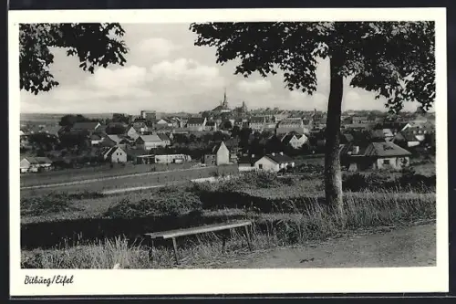 AK Bitburg / Eifel, Totalansicht