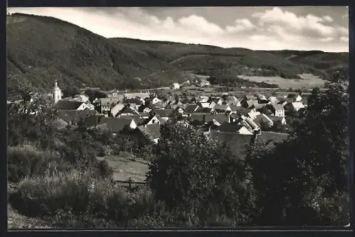 Foto-AK Birresborn / Eifel, Totalansicht des Ortes