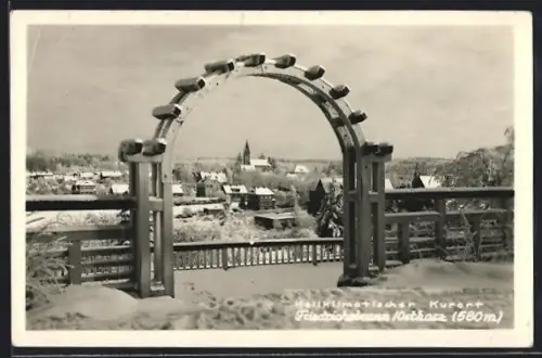 AK Friedrichsbrunn /Harz, Ortsansicht im Winter von einer Aussichtsplattform aus