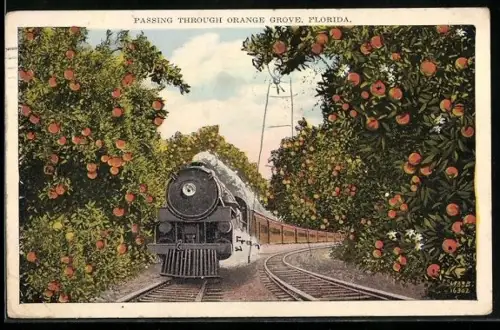 AK Orange Grove, FL, Train passing through Orange Grove, Eisenbahn