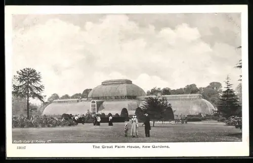 AK London, Kew Gardens, The Great Palm House