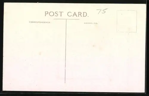 AK Folkestone, The Victoria Pier