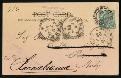 AK Tunbridge Wells, The Common