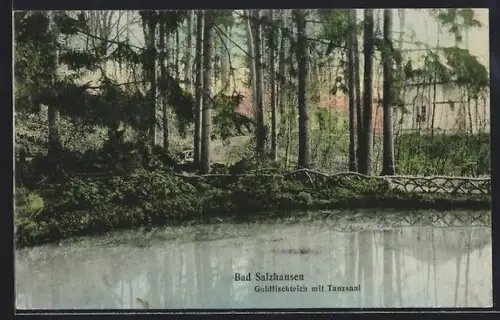 AK Bad Salzhausen, Goldfischteich mit Tanzsaal
