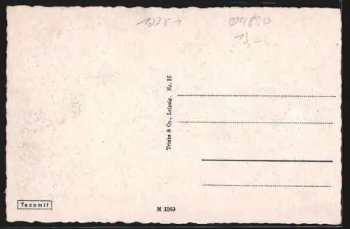 AK Weissenfels, Rathaus und Stadtkirche