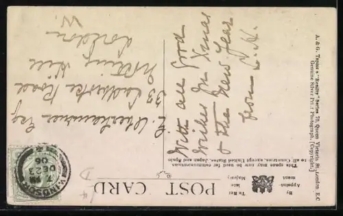 AK Windsor, Panorama