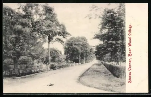 AK Bear Wood Village, Stores Corner