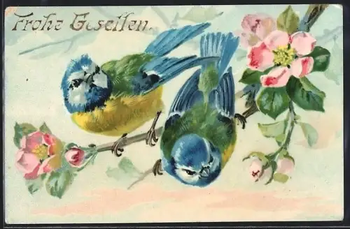 AK Blaumeisen auf blühendem Zweig