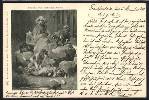 AK Welpengruppe auf Findlingen