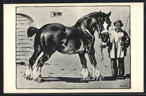Künstler-AK Züchter mit Kaltblut-Pferd
