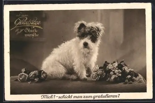 AK Kleiner Terrier mit Rosen, Geburtstagsgruss