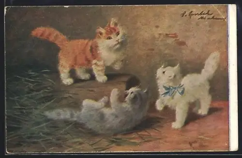 AK Drei kleine Katzen beim Spiel