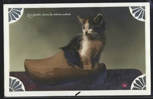 AK Les pieds dans le meme sabot, Chat