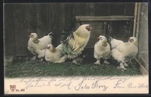 AK Hühner am Stall