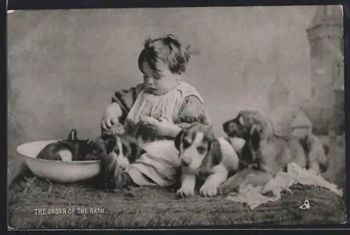 AK Kleinkind wäscht Beaglewelpen