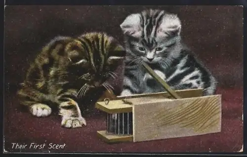 AK Their first Scent, Kittens and Mouse Trap