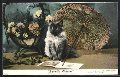 AK A Pretty Picture, Cat, Umbrella