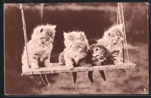 AK Une partie de plaisir, Chats