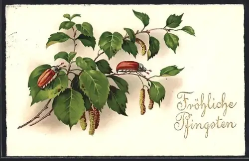 AK Zwei Maikäfer auf Birkenzweig mit Troddeln, Pfingstgruss