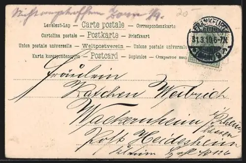 AK Hirsch auf einem Feld