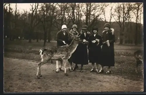 AK Hannover-Kirchrode, Tiergarten, Hirsch lässt sich von Besucherinnen füttern