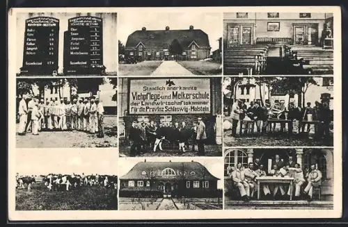 AK Blicke auf Kühe und Studenten in der staatlich anerkannten Viehpflege-und Melkerschule