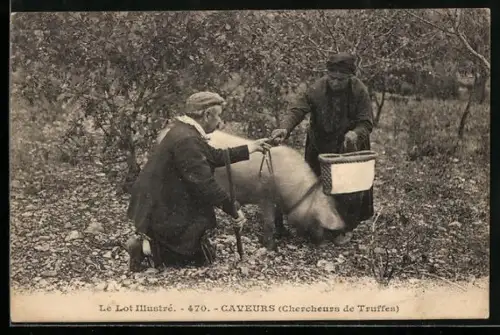 AK Caveurs, Chercheurs de Truffes, Bauernpaar mit Trüffelschwein