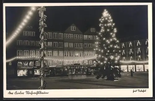 AK Kiel, Weihnachtsbaum am Rathausplatz bei Nacht