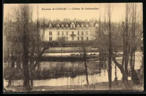 AK Cognac, Château de Gademoulin et rivière en premier plan