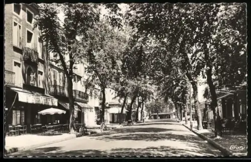 AK Caussade /T.-et-G., Grande Avenue avec terrasses ombragées et arbres alignés