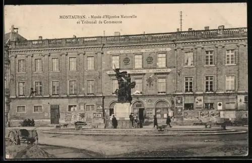 AK Montauban, Musée d`Histoire Naturelle et Tribunal de Commerce