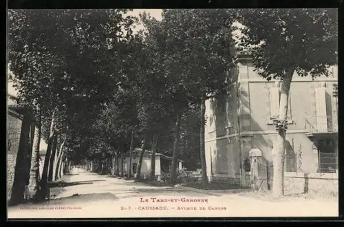 AK Caussade /Tarn-et-Garonne, Avenue de Cahors