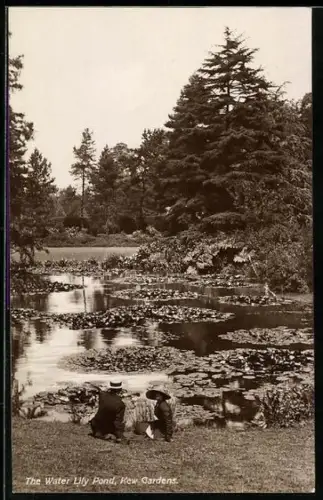 AK Kew, Kew Gardens, The Water Lily Pond