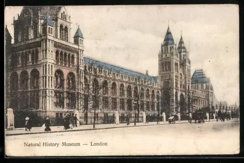 AK London, Natural History Museum