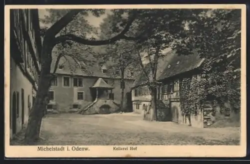 AK Michelstadt i. Odenw., Kellerei Hof