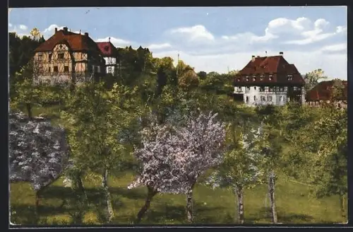 AK Oberdachstetten /Mfr., Erholungshaus Waldheim