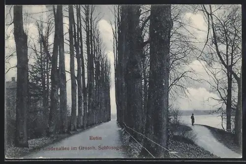 AK Eutin, Lindenallee im Grossh. Schlossgarten