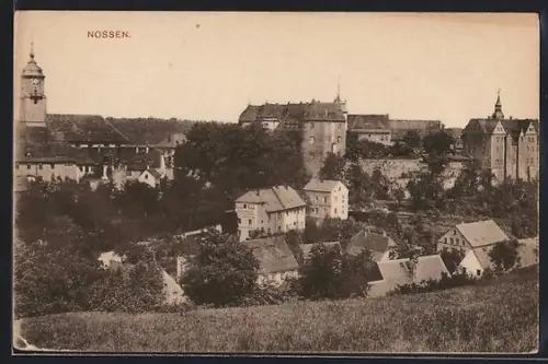 AK Nossen, Schloss und Stadtansicht