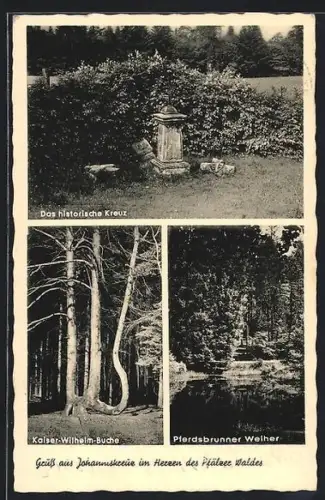AK Johanniskreuz, Historisches Kreuz, Kaiser-Wilhelm-Buche, Pferdsbrunner Weiher