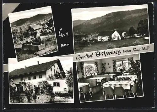 AK Kollnburg, Gasthof Bayerweg, Aussenansicht, Innenraum, Brunnen