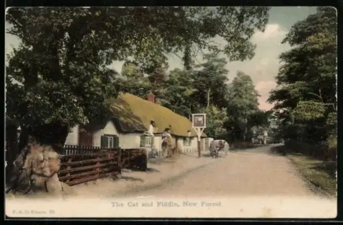 AK New Forest, The Cat and Fiddle