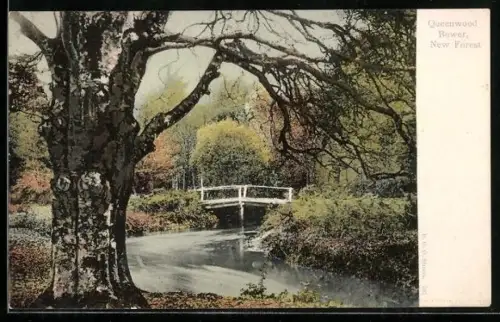 AK New Forest, Queenwood Bower