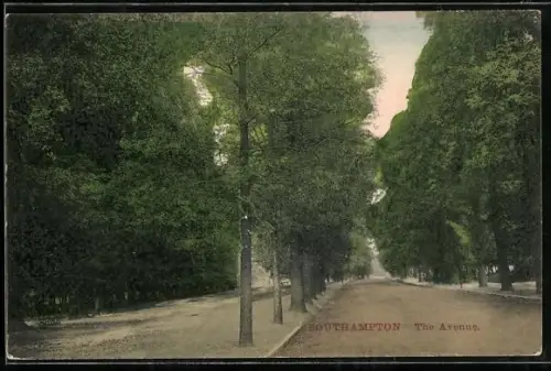 AK Southampton, The Avenue