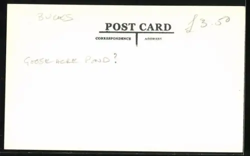 AK Botley, Goose, Pond, Street and Car