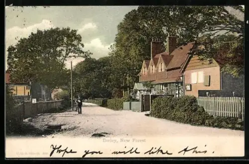 AK Burley, New Forest