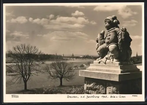 Foto-AK Walter Hahn, Dresden, Nr. 10944: Dresden, Blick von Osten mit Steinskulptur