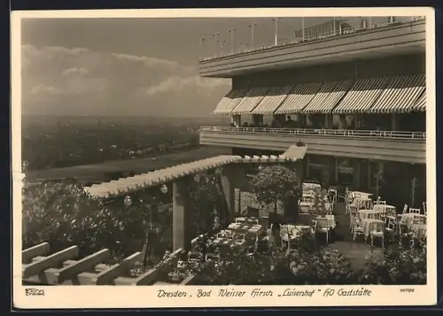 Foto-AK Walter Hahn, Dresden, Nr. 10795: Dresden-Weisser Hirsch, Luisenhof, Blick auf Dresden