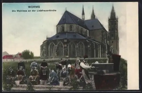 AK Worms, Die Weinlese an der Liebfrauenkirche
