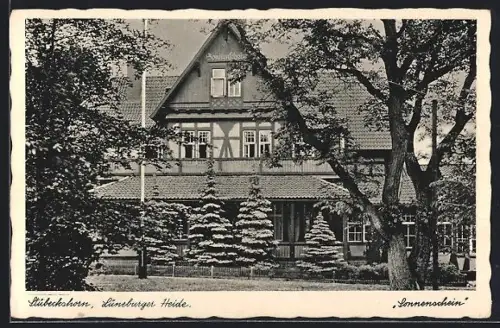 AK Stübeckshorn / Lüneburger Heide, Partie am Gasthaus Sonnenschein
